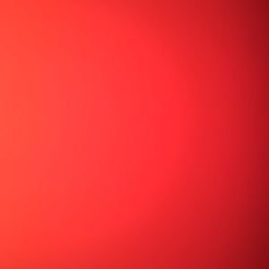 Meet your Posher, Phoebe